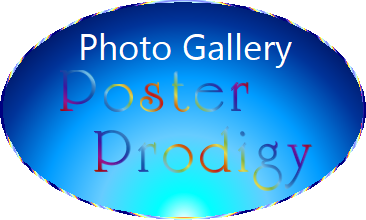 Photo Gallery