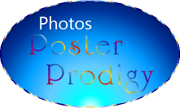 Photos